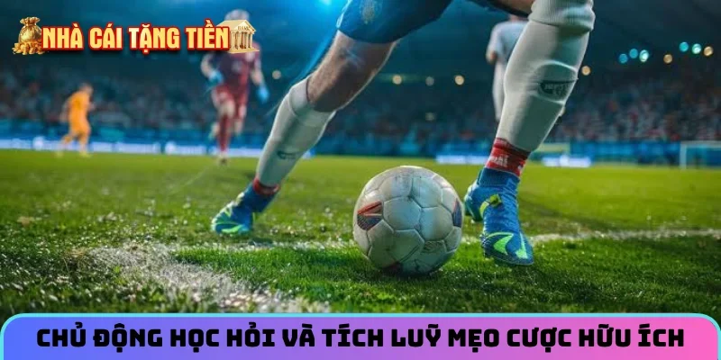 Chủ động học hỏi và tích luỹ mẹo cược hữu ích