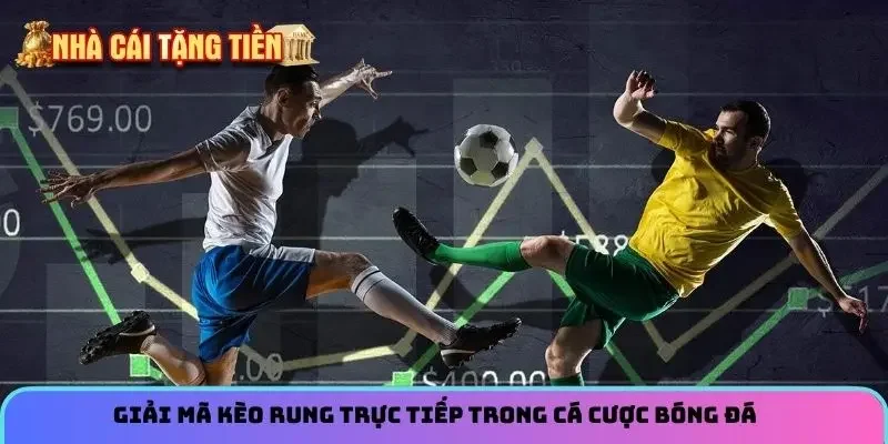 Giải mã kèo rung trực tiếp trong cá cược bóng đá